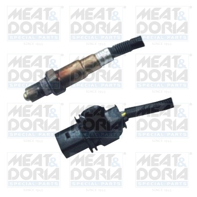 Oxygen Sensor